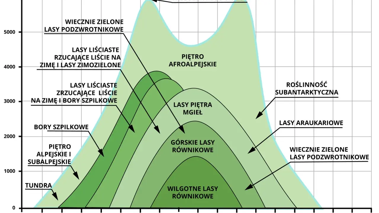 Wykres przedstawia piętra roślinne w Tatrach i innych górach, od tundry po wiecznie zielone lasy podzwrotnikowe, zależnie od szerokości geograficznej i wysokości.