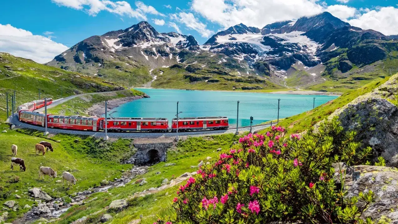 Czerwony pociąg wije się wzdłuż turkusowego jeziora, podziwiając alpejskie szczyty. Idealna podróż ze **Swiss Travel Pass**.