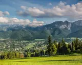 Zielone zbocze z widokiem na Tatry. W oddali widać miasteczko i góry, a na pierwszym planie las. Warto poznać rośliny w Tatrach nazwy.