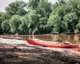 Dwa kajaki na brzegu rzeki na Podlasiu, otoczone bujną zielenią drzew.