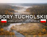 Mglisty poranek nad rzeką w **Borach Tucholskich**. Jesienne drzewa otulone mgłą, zapraszają do odkrywania szlaków i jezior.