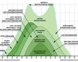 Wykres przedstawia piętra roślinne w Tatrach i innych górach, od tundry po wiecznie zielone lasy podzwrotnikowe, zależnie od szerokości geograficznej i wysokości.