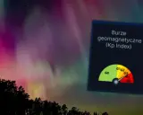 Niesamowita zorza polarna nad lasem, z widocznym wskaźnikiem burz geomagnetycznych.