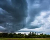 Mroczne, kłębiaste chmury zapowiadają nadejście burzy. Widać ich potężną, ciemną masę nad zielonym lasem i polem.