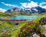 Czerwony pociąg wije się wzdłuż turkusowego jeziora, podziwiając alpejskie szczyty. Idealna podróż ze **Swiss Travel Pass**.