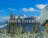 Zimowa wycieczka w Tatry. Śnieg pokrywa drzewa i góry, a niebo jest błękitne. Widok z drewnianej altany.