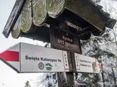 Znak szlaku turystycznego wskazujący wejście na Łysicę. W tle zimowy las.