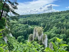 Ostoja skał i lasów, jak z najpopularniejszych parków narodowych w Polsce. W oddali dom wśród zieleni.