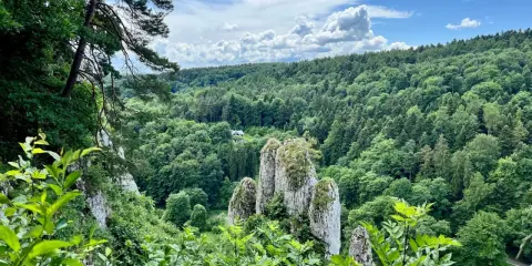 Ostoja skał i lasów, jak z najpopularniejszych parków narodowych w Polsce. W oddali dom wśród zieleni.