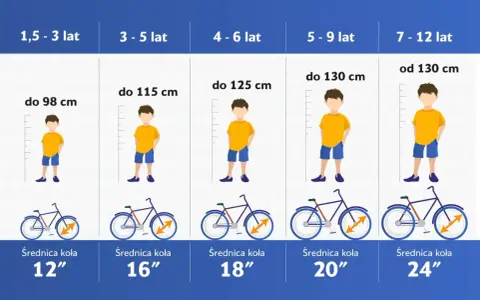 Tabela rozmiarów rowerów dla dzieci: rama 54 cm na jaki wzrost? Od 130 cm wzrostu, dla dzieci 7-12 lat, koła 24".