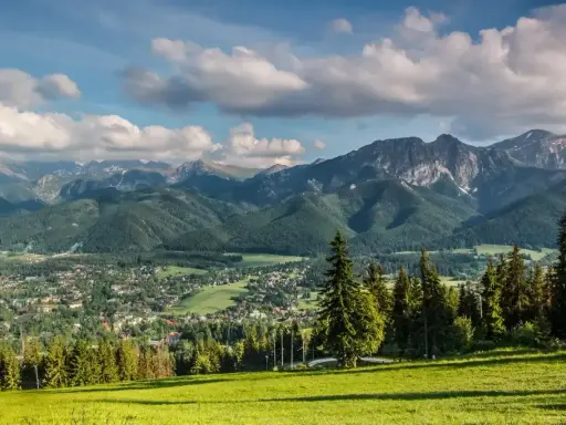 Zielone zbocze z widokiem na Tatry. W oddali widać miasteczko i góry, a na pierwszym planie las. Warto poznać rośliny w Tatrach nazwy.