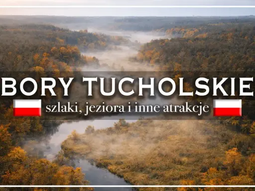 Mglisty poranek nad rzeką w **Borach Tucholskich**. Jesienne drzewa otulone mgłą, zapraszają do odkrywania szlaków i jezior.