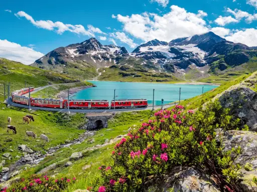 Czerwony pociąg wije się wzdłuż turkusowego jeziora, podziwiając alpejskie szczyty. Idealna podróż ze **Swiss Travel Pass**.