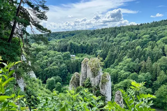 Ostoja skał i lasów, jak z najpopularniejszych parków narodowych w Polsce. W oddali dom wśród zieleni.
