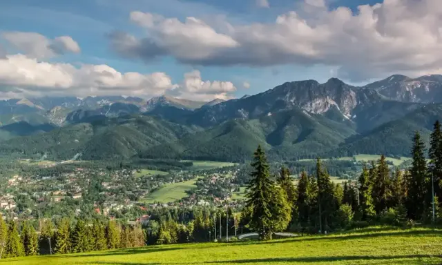 Zielone zbocze z widokiem na Tatry. W oddali widać miasteczko i góry, a na pierwszym planie las. Warto poznać rośliny w Tatrach nazwy.