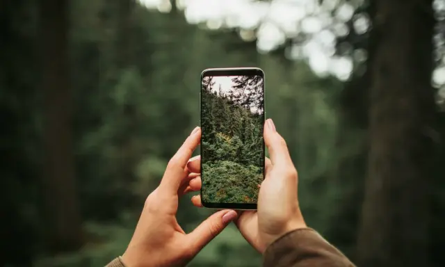 Dłonie trzymają telefon, na ekranie którego widać gęsty las. Dowiedz się, jak ustawić aparat w telefonie, by uchwycić piękno natury.