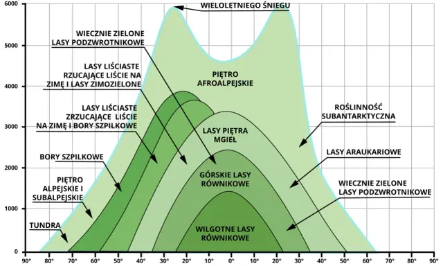 Wykres przedstawia piętra roślinne w Tatrach i innych górach, od tundry po wiecznie zielone lasy podzwrotnikowe, zależnie od szerokości geograficznej i wysokości.