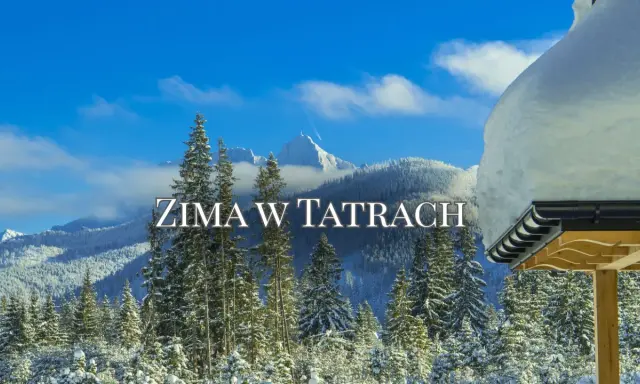 Zimowa wycieczka w Tatry. Śnieg pokrywa drzewa i góry, a niebo jest błękitne. Widok z drewnianej altany.