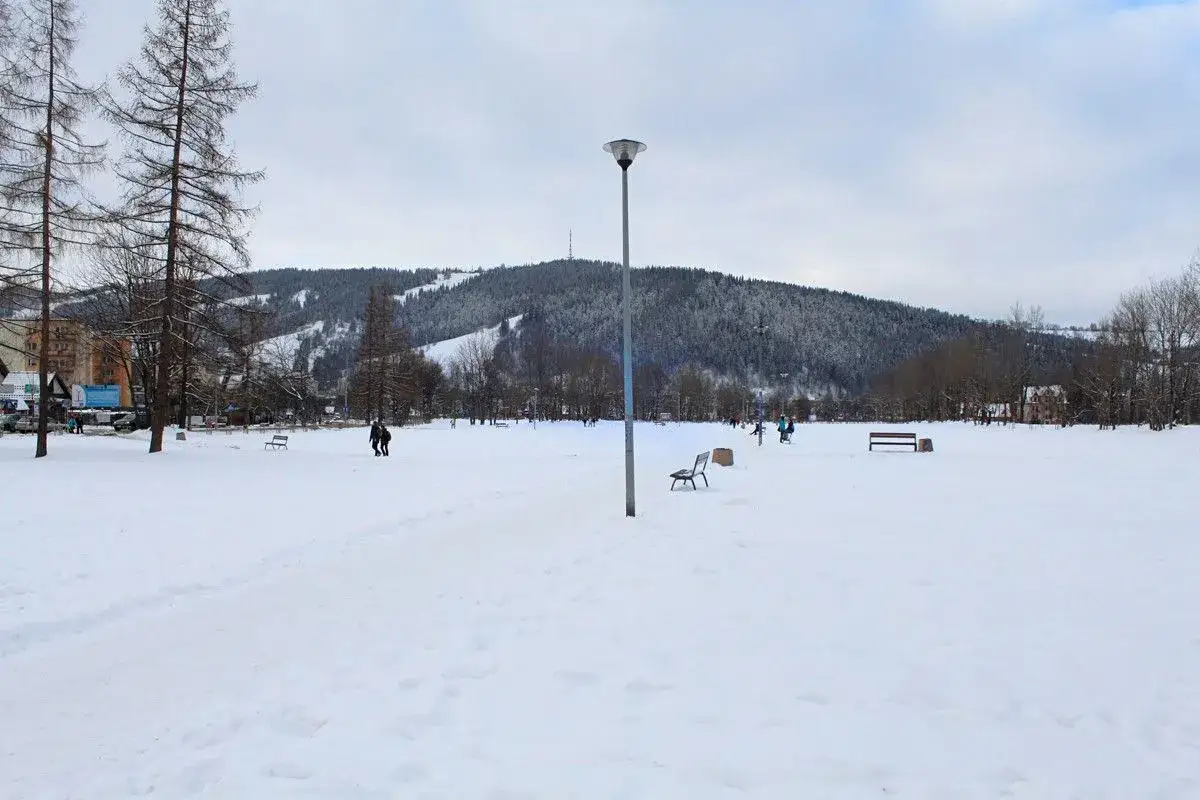 Zimowe Zakopane z wózkiem to widok na ośnieżony park, gdzie ludzie spacerują pośród drzew i gór.