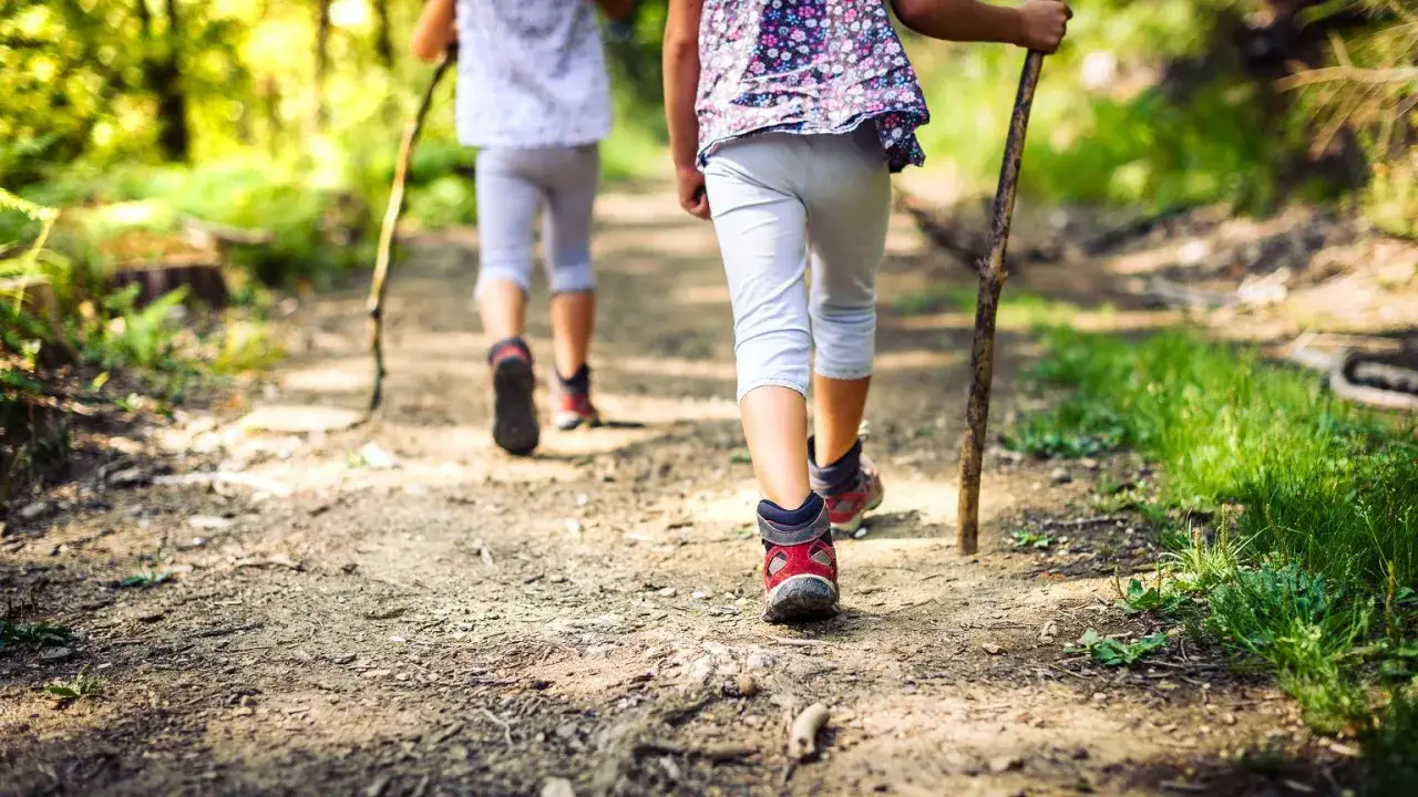 Dzieci wędrują leśną ścieżką, odkrywając, co to znaczy outdoor – przygoda na łonie natury.