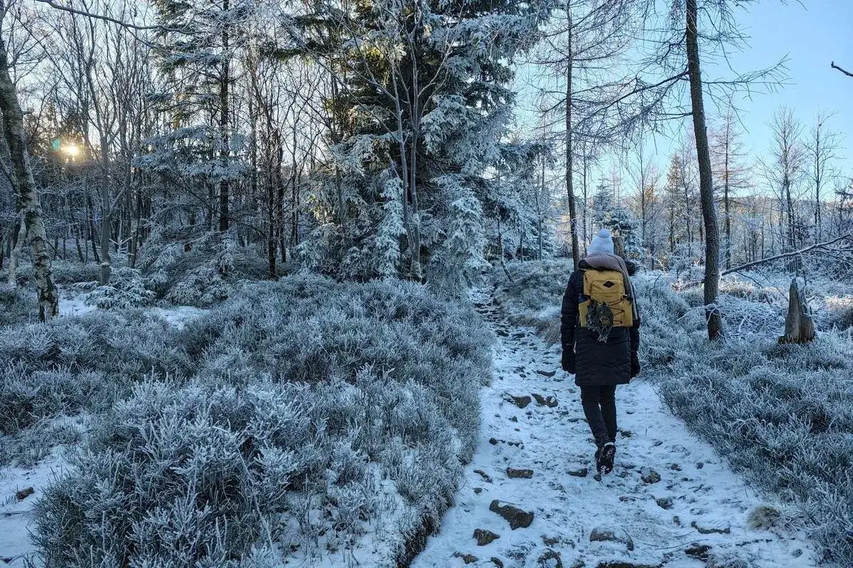 Spacerka po mroźnych górach w listopadzie. Śnieg i szron pokrywają drzewa i krzewy, tworząc zimowy krajobraz.